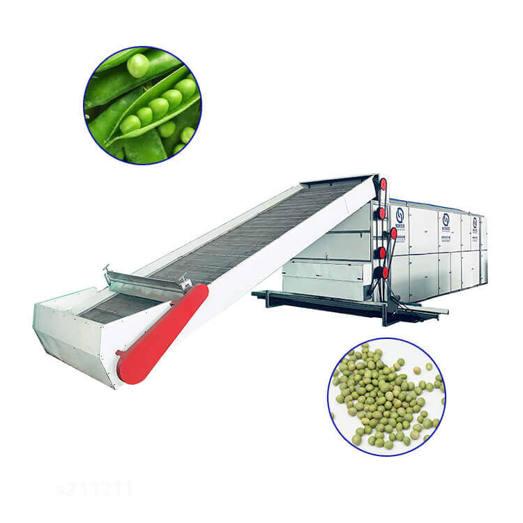 beans continuous mesh belt dryer